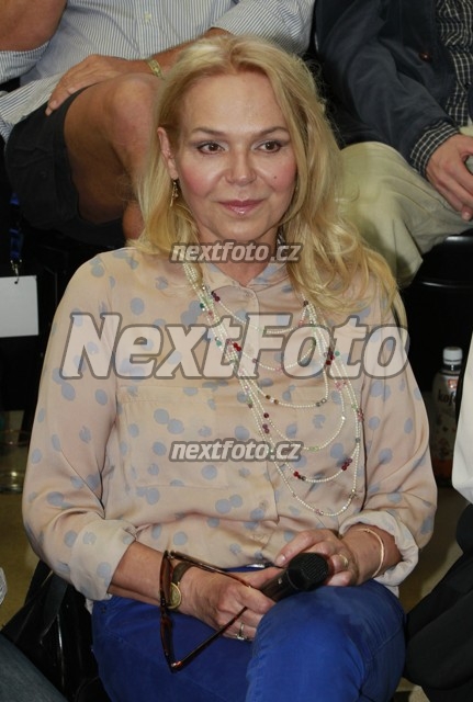 8258 Dagmar Havlova