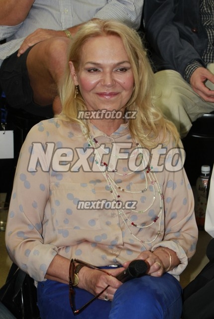 8261 Dagmar Havlova