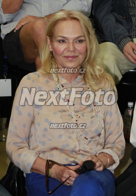 8262 Dagmar Havlova