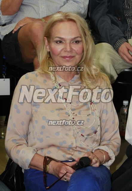 8263 Dagmar Havlova