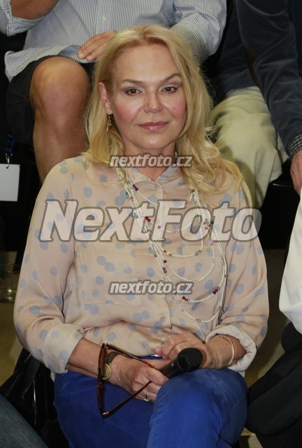 8266 Dagmar Havlova