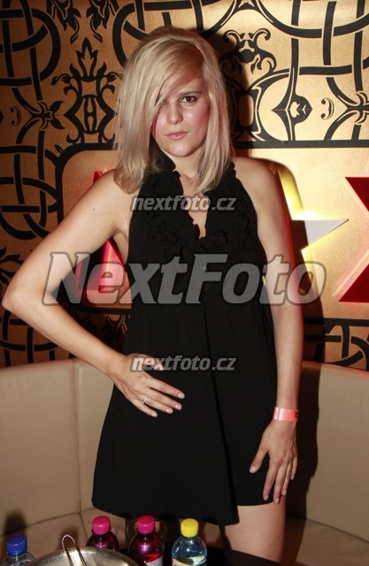 9485 Ornella Stikova