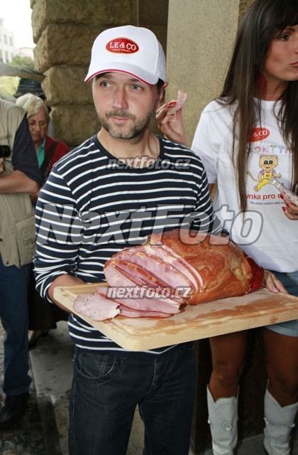 5568 Vlasta Korec