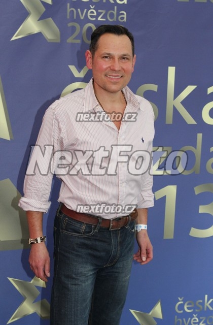 3434 Pavel Vitek