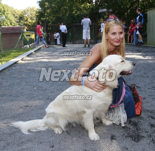 3491 Ivana Gottova Stella