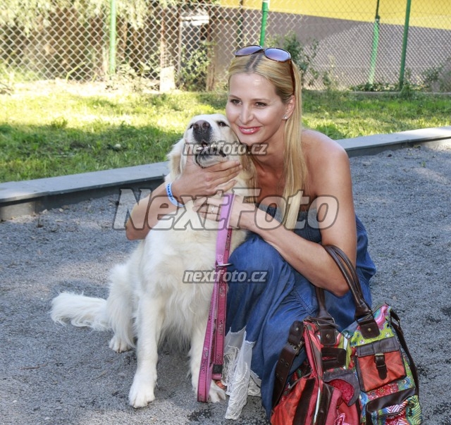 3501 Ivana Gottova Stella