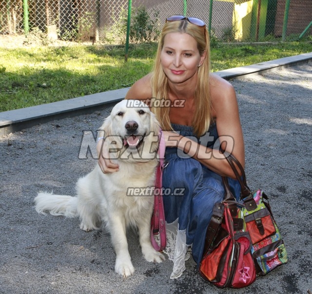3510 Ivana Gottova Stella