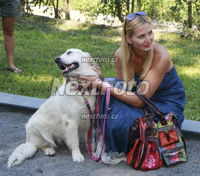 3521 Ivana Gottova Stella