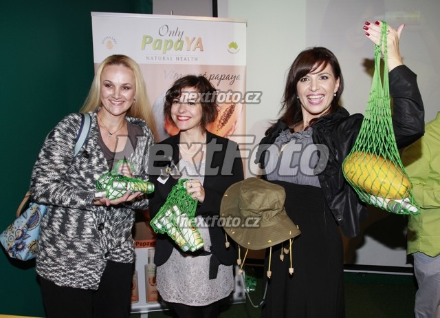 7079 Linda Finkova Kristyna Janackova Andrea Kalivodova