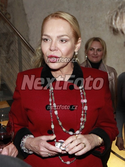 5863 Dagmar Havlova