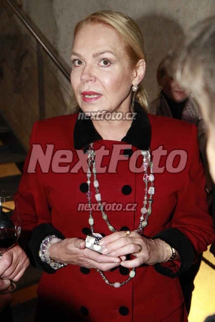 5864 Dagmar Havlova