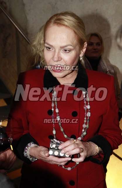 5865 Dagmar Havlova