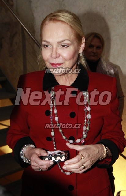 5868 Dagmar Havlova
