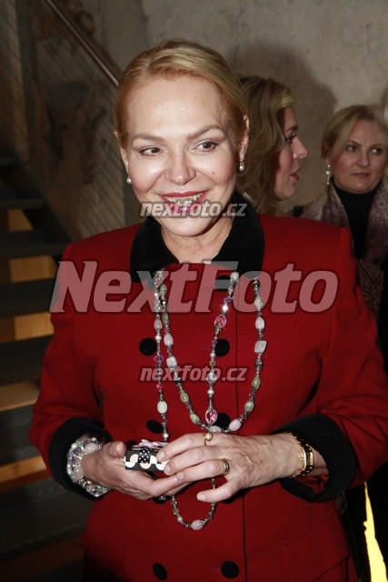 5875 Dagmar Havlova