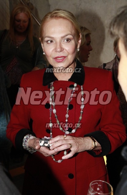 5878 Dagmar Havlova