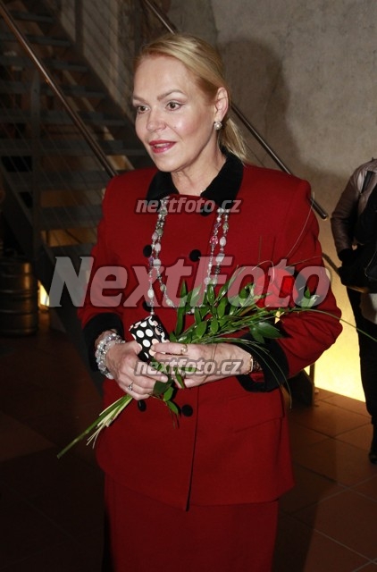 5882 Dagmar Havlova