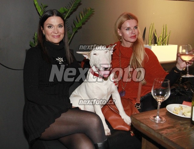 2577 Mahulena Bocanova Zuzana Strakova