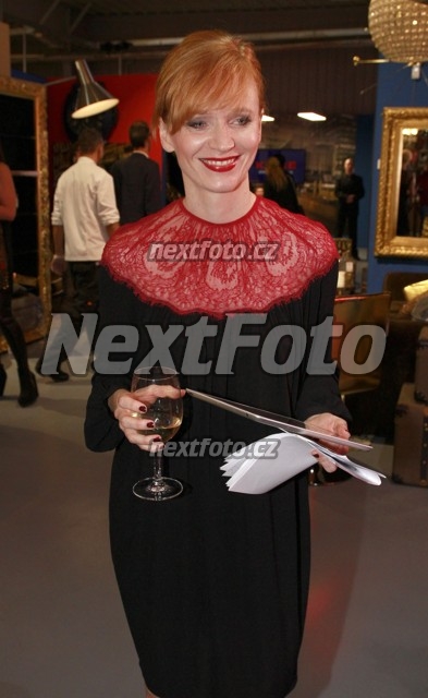 9545 Ana Geislerova