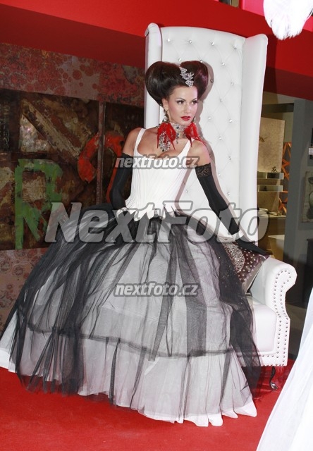 9588 Eliska Buckova