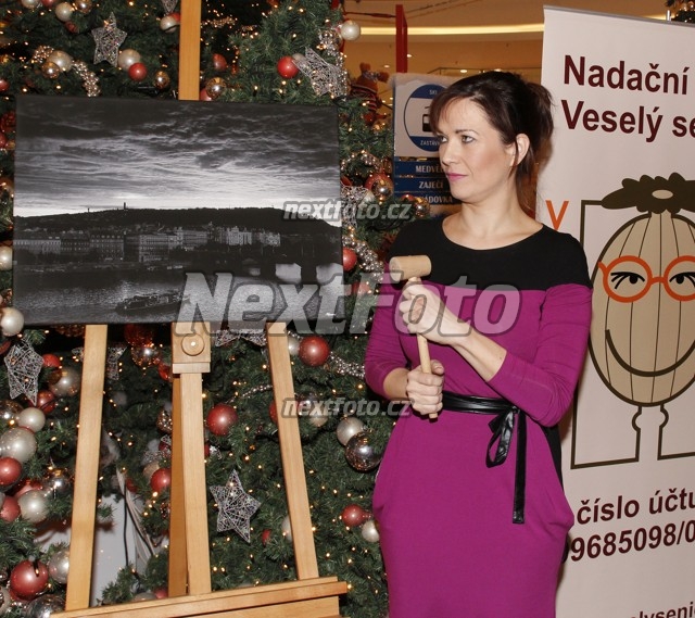 6807 Tereza Kostkova