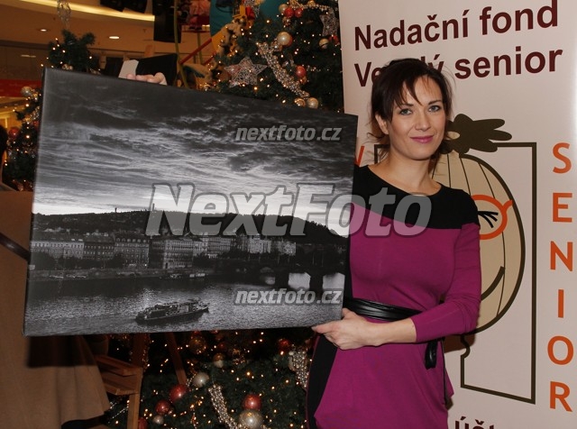 6850 Tereza Kostkova