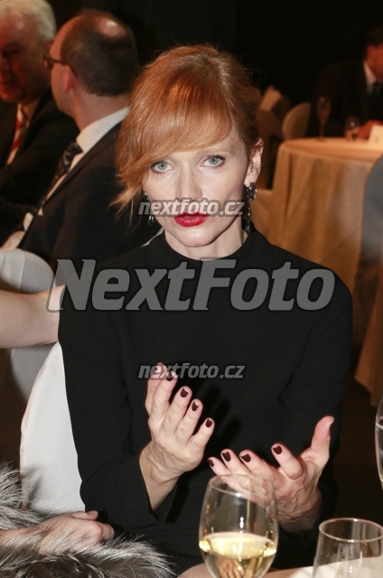 7833 Ana Geislerova