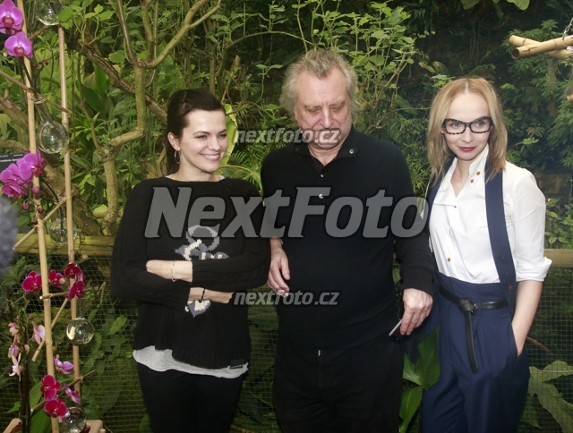 2458 Marta Jandova Borek Sipek Jana Plodkova