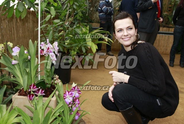 2535 Marta Jandova