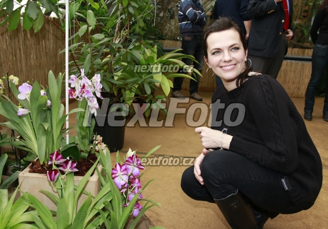 2536 Marta Jandova