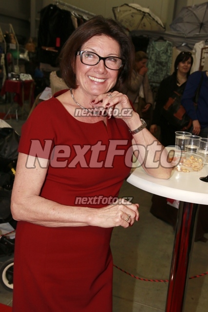 4293 Marie Rottrova