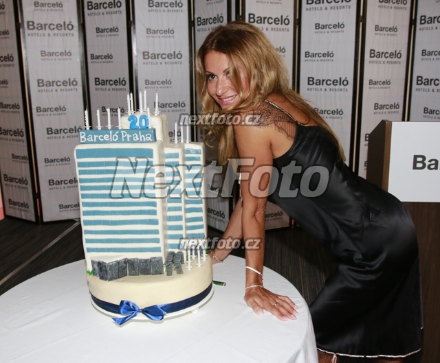 9393 Yvetta Blanarovicova
