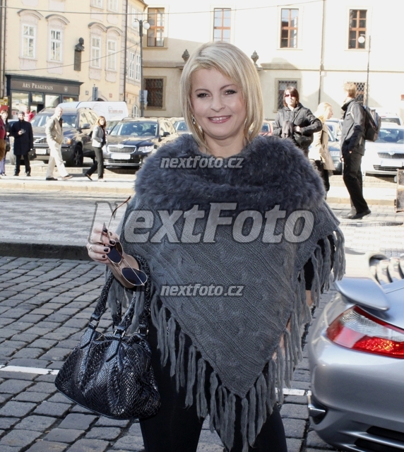 4809 Iveta Bartosova
