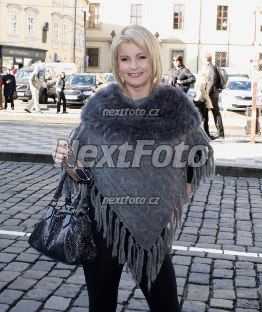 4810 Iveta Bartosova
