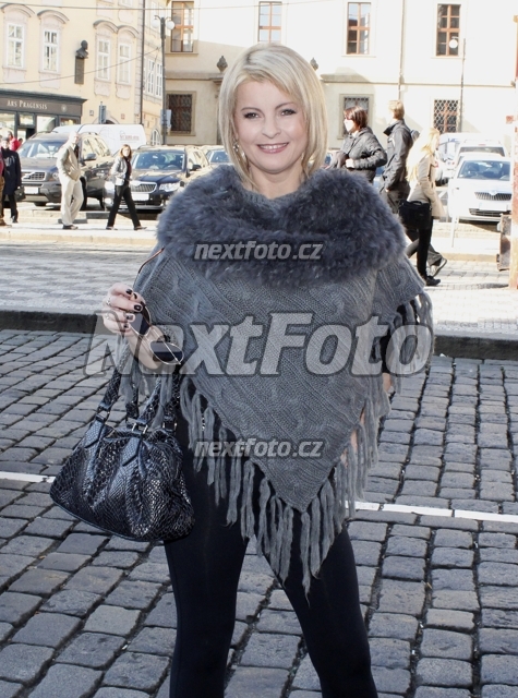 4811 Iveta Bartosova