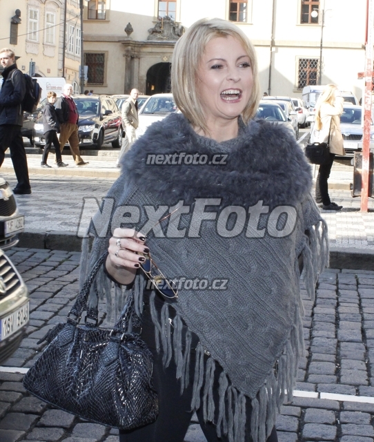 4818 Iveta Bartosova