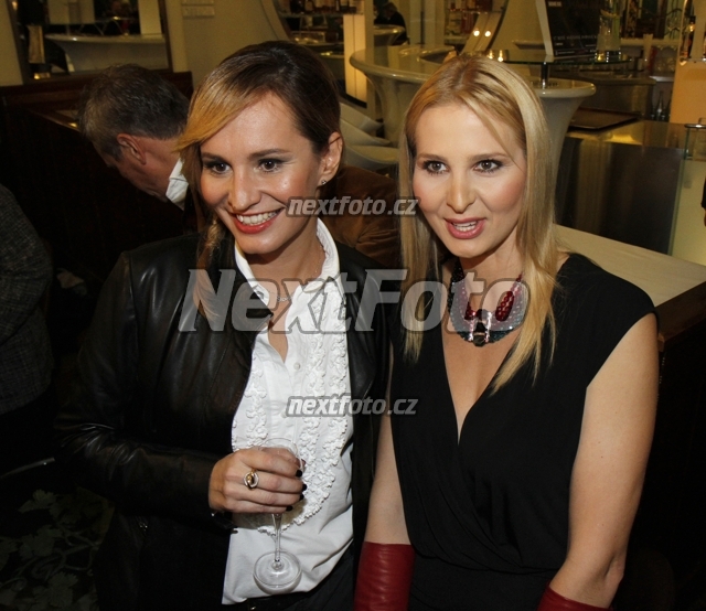 9516 Ivana Gottova Monika Absolonova