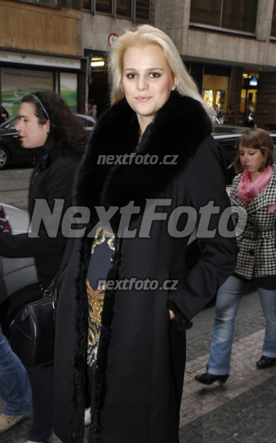 9833 Ornella Stikova