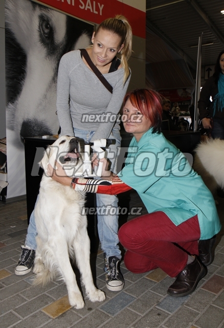 3064 Martina Gavriely