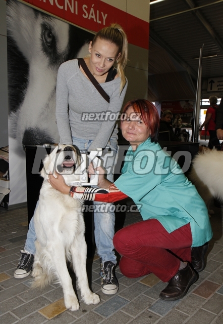 3066 Martina Gavriely