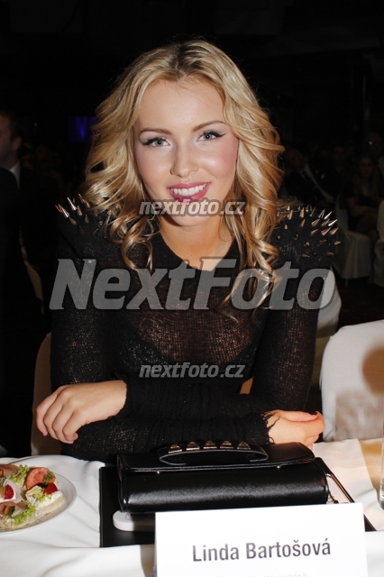 9905 Linda Bartosova
