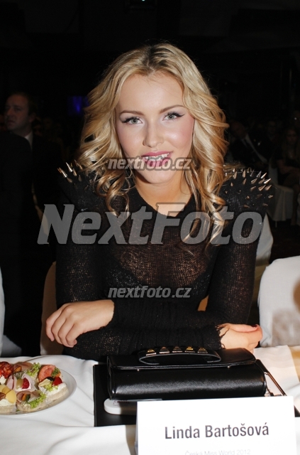 9906 Linda Bartosova