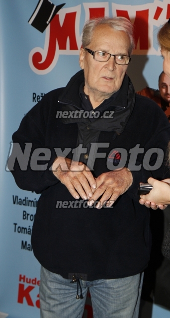 3295 Vladimir Brabec