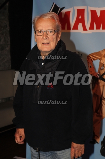 3311 Vladimir Brabec