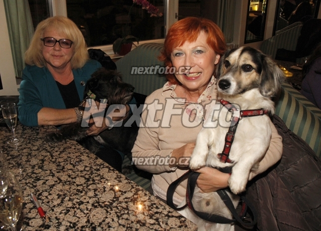 4253 Dagmar Cernochova Iva Huttnerova