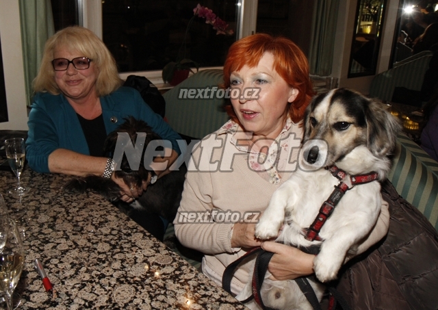 4258 Dagmar Cernochova Iva Huttnerova