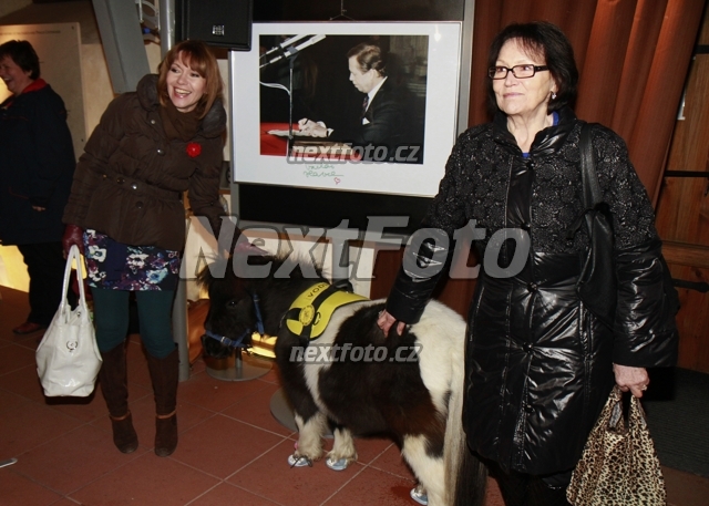 3033 Michaela Dolinova Marta Kubisova