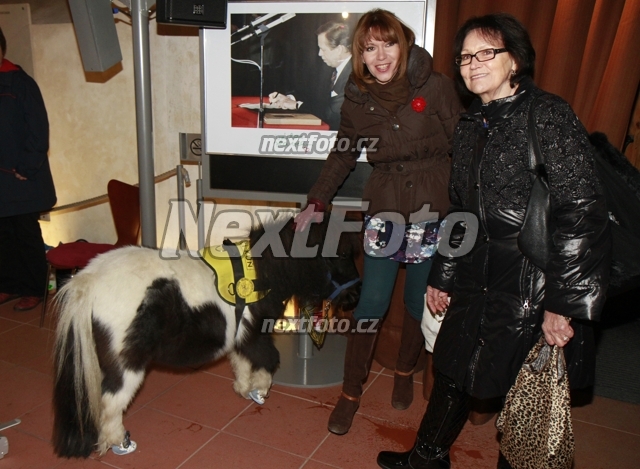 3040 Michaela Dolinova Marta Kubisova