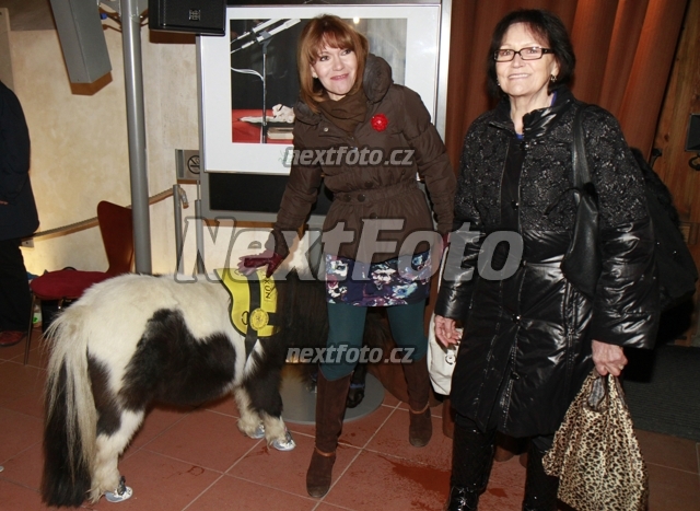 3041 Michaela Dolinova Marta Kubisova