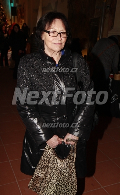3050 Marta Kubisova