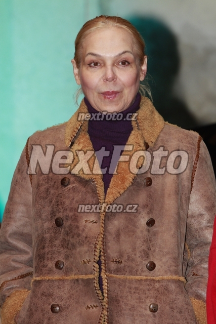 3247 Dagmar Havlova